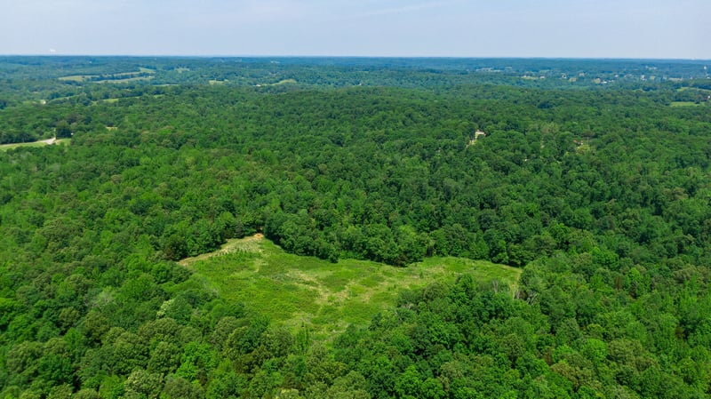 0 Foster Rd, Cumberland Furnace, TN 37051
