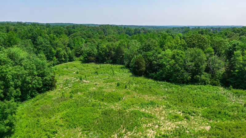 0 Foster Rd, Cumberland Furnace, TN 37051