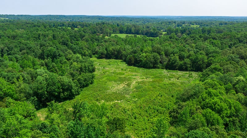 0 Foster Rd, Cumberland Furnace, TN 37051