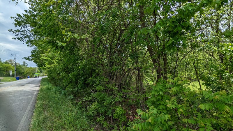 0 Tyree Springs Rd, White House, TN 37188