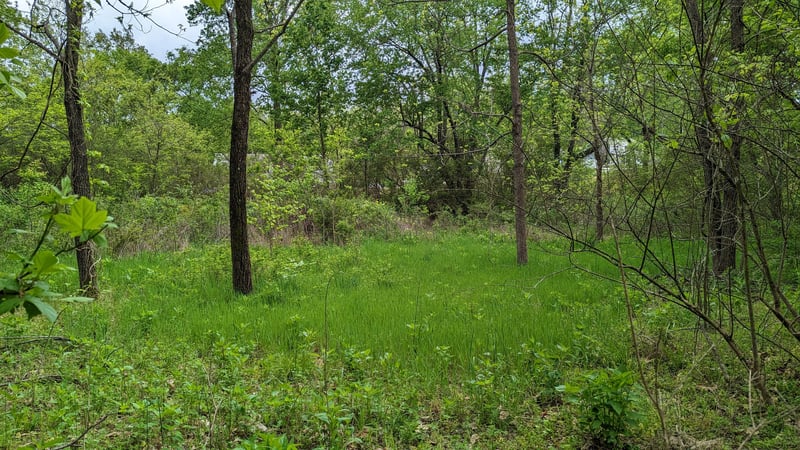 0 Tyree Springs Rd, White House, TN 37188