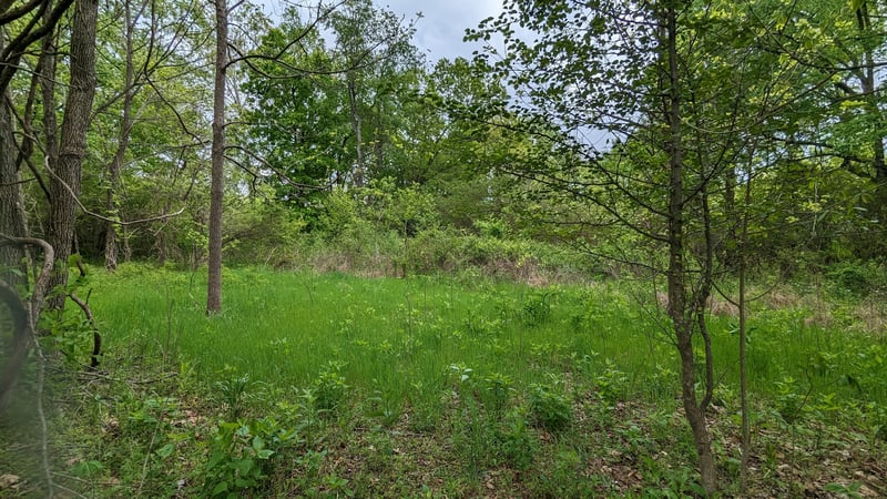 0 Tyree Springs Rd, White House, TN 37188