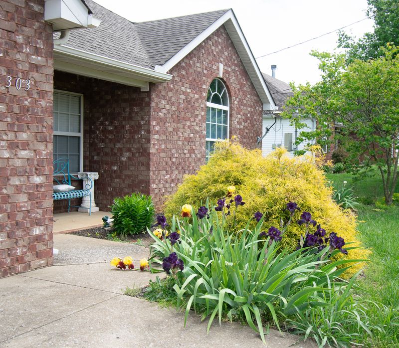 303 Buttonwood Dr, Smyrna, TN 37167