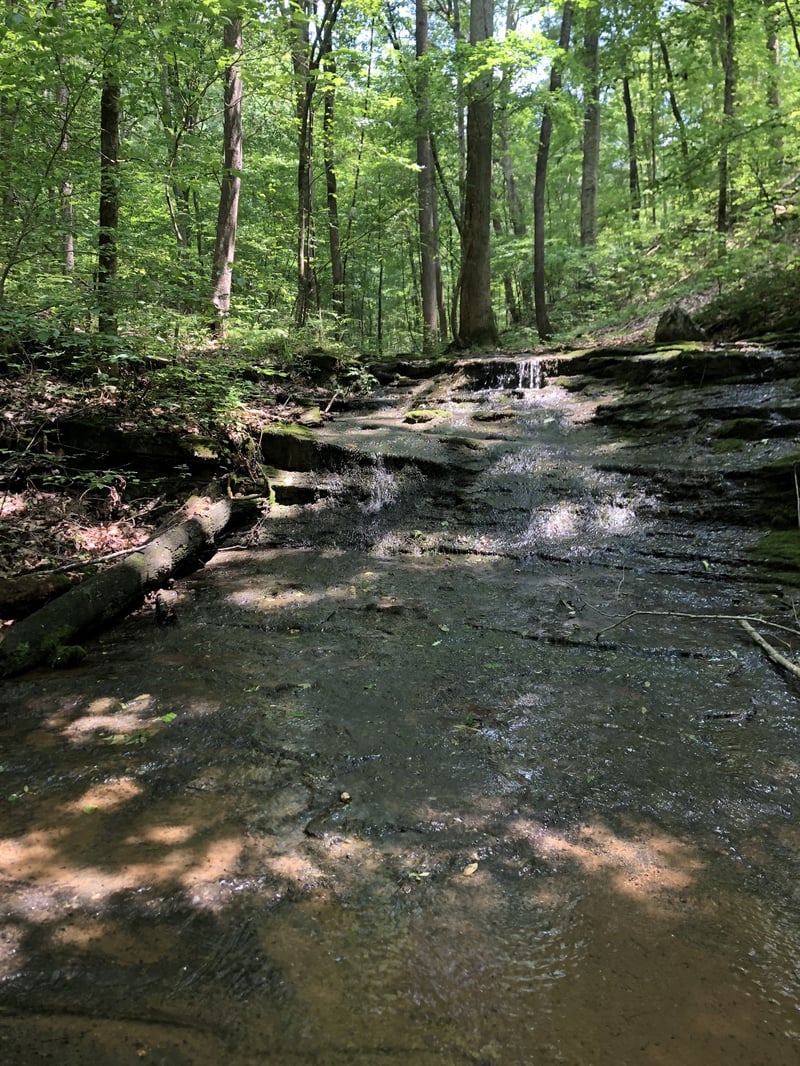 0 Mosley Ferry Rd, Chapmansboro, TN 37035