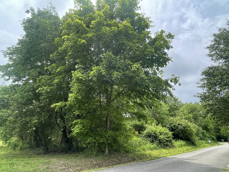 0 Ridge Rd, Cedar Hill, TN 37032