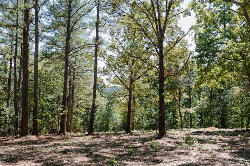 0 Gordon Lawrence, Santa Fe, TN 38482