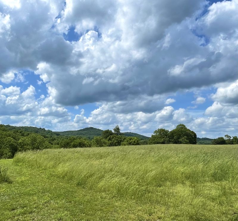 0 Spanntown Rd, Arrington, TN 37014