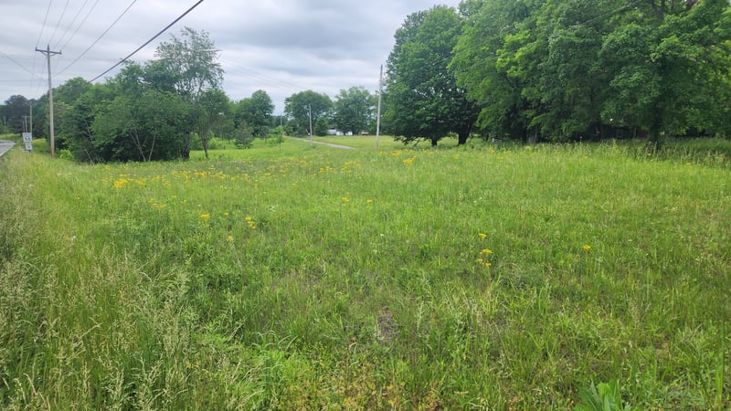 3147 Old New Cut Rd, Springfield, TN 37172