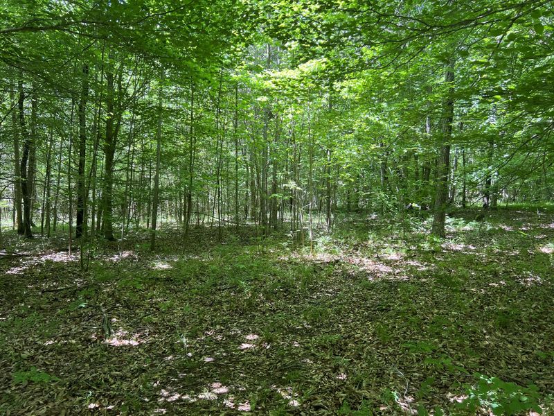 0 Estes Rd, Charlotte, TN 37036