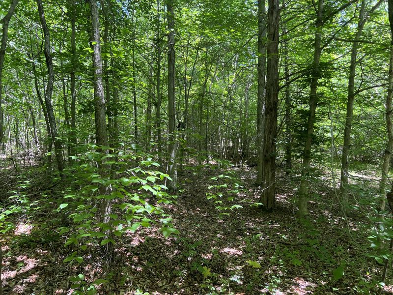 0 Estes Rd, Charlotte, TN 37036