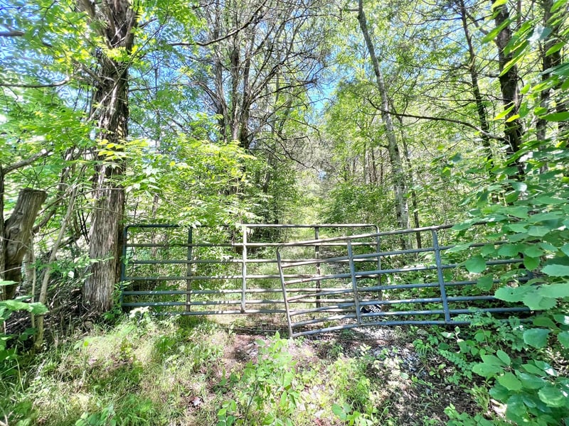 0 Cedar Hill Rd, Watertown, TN 37184