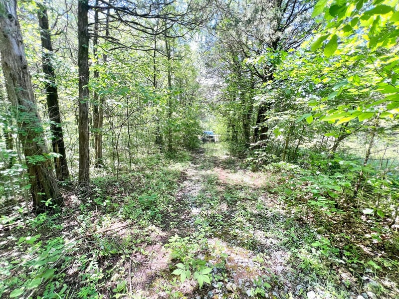 0 Cedar Hill Rd, Watertown, TN 37184