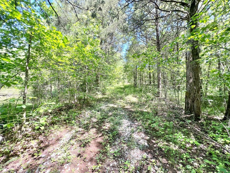 0 Cedar Hill Rd, Watertown, TN 37184