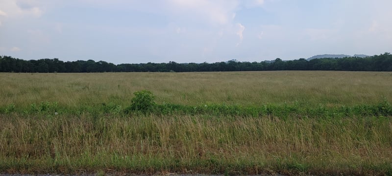 0 Halls Hill Pike, Readyville, TN 37149
