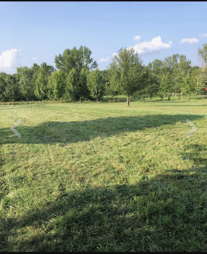 314 W Hester Rd, Cottontown, TN 37048
