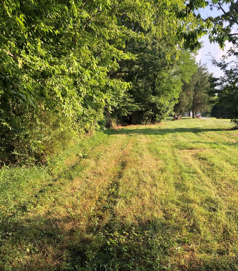 314 W Hester Rd, Cottontown, TN 37048