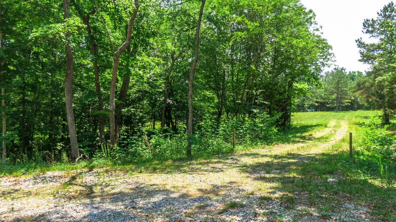 7477 Liberty Rd, Fairview, TN 37062