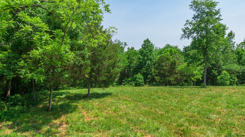 7477 Liberty Rd, Fairview, TN 37062