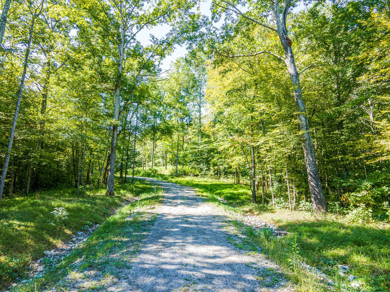 7477 Liberty Rd, Fairview, TN 37062