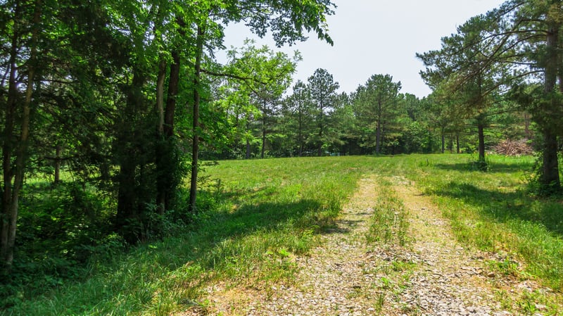 7477 Liberty Rd, Fairview, TN 37062