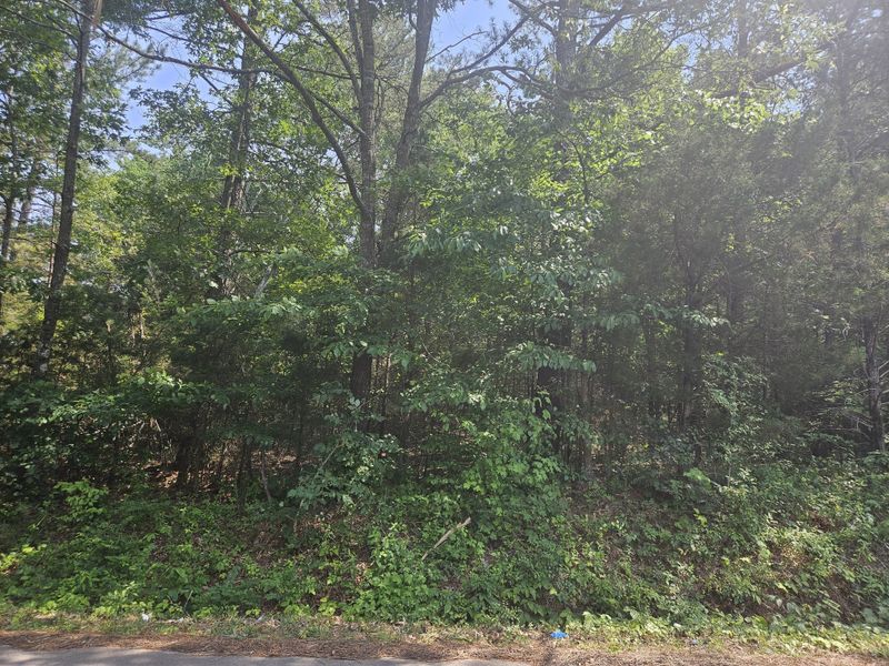 1845 Humphreys County Line Rd, Mc Ewen, TN 37101