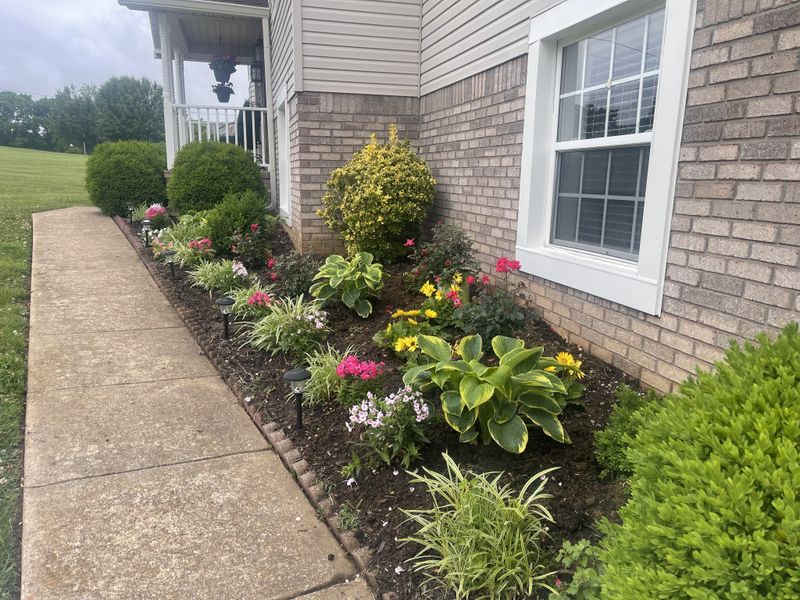 2524 Golden Pond Ln, Spring Hill, TN 37174