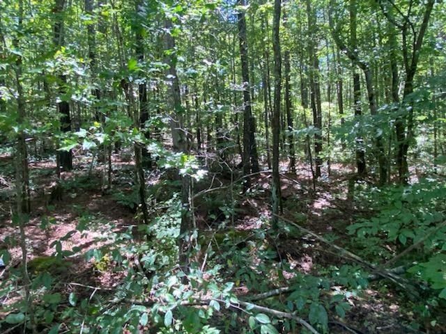 14094 Highway 411 N, Crandall, GA 30711
