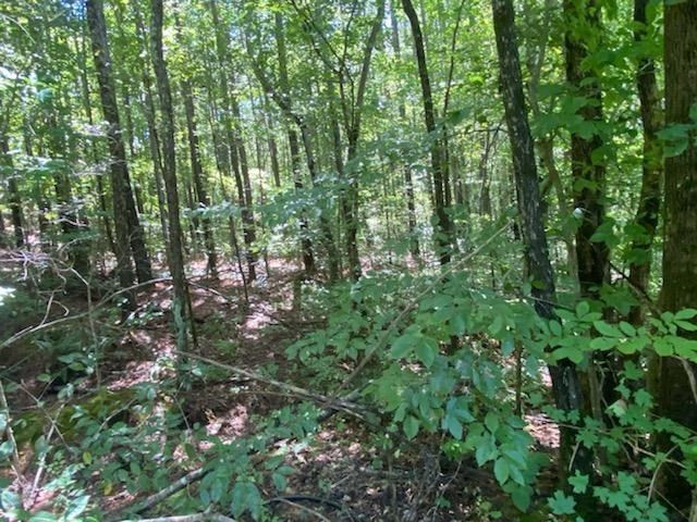 14094 Highway 411 N, Crandall, GA 30711