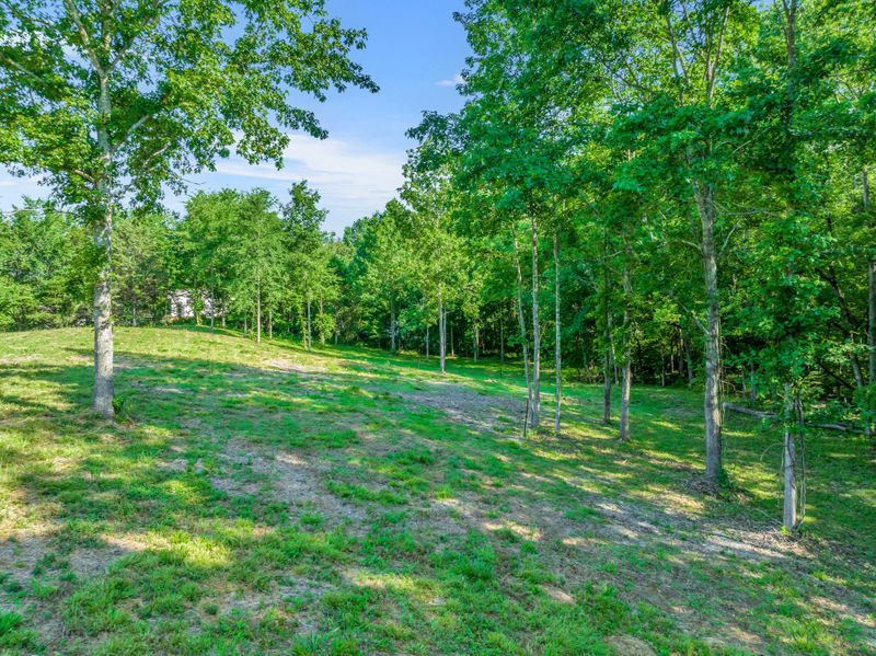 1 Greenfield Estates Dr, Culleoka, TN 38451