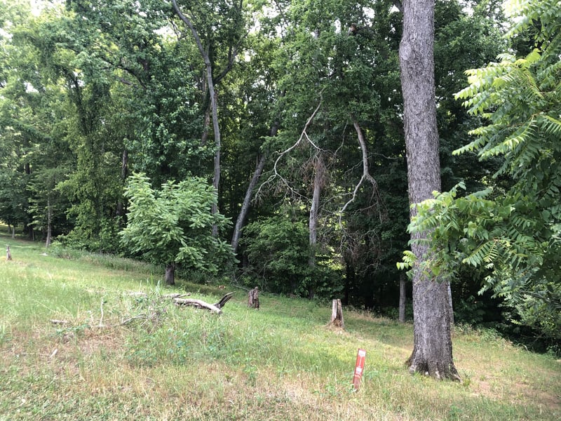 109 Clarendon Pl, Hendersonville, TN 37075