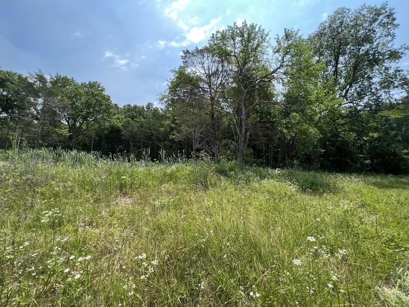 0 Cripple Creek Rd, Readyville, TN 37149