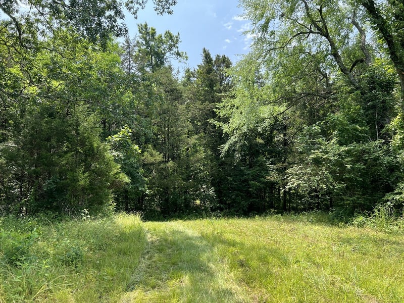 0 Cripple Creek Rd, Readyville, TN 37149