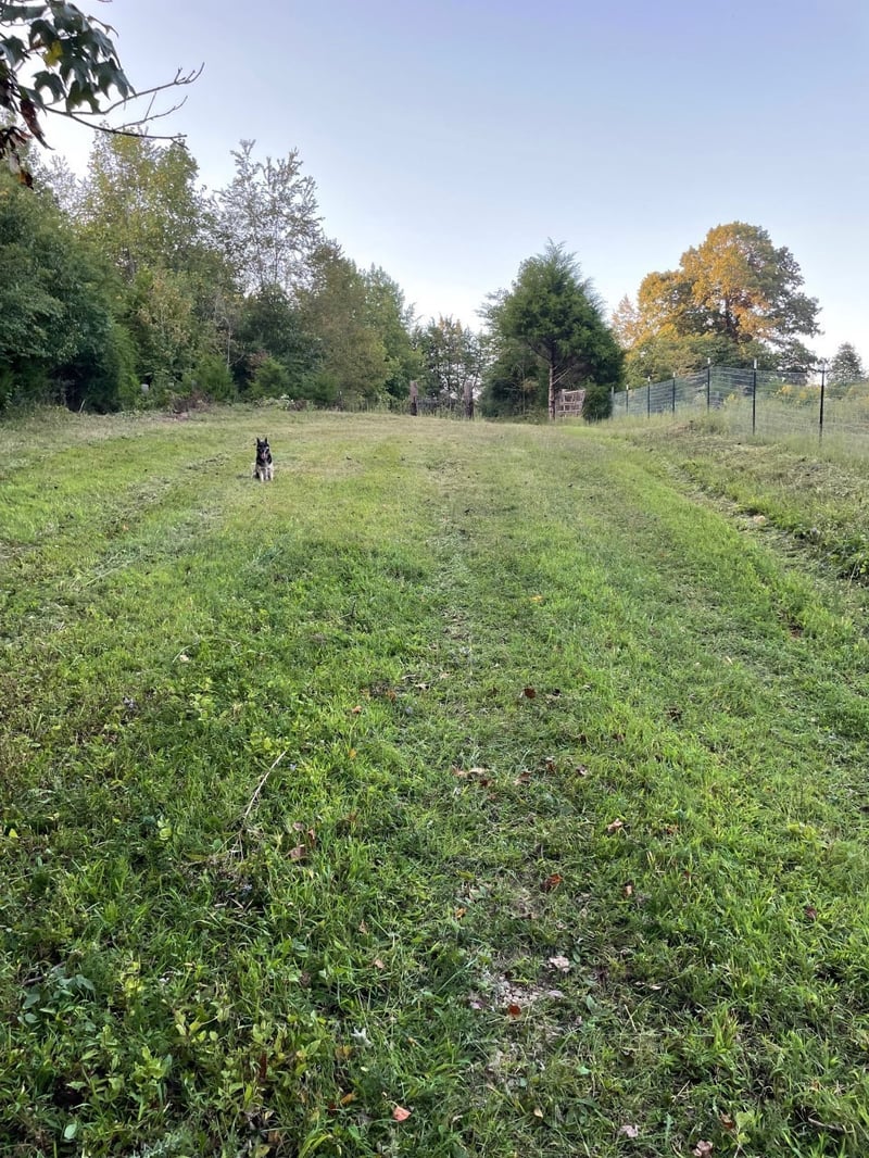 0 Issac Clifton Rd, Chapmansboro, TN 37035