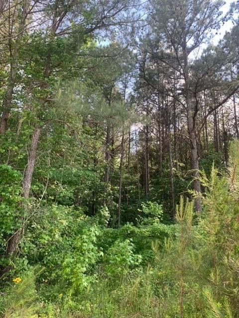 0 Gastonbury Way, Cohutta, GA 30710