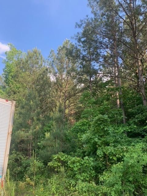 0 Gastonbury Way, Cohutta, GA 30710
