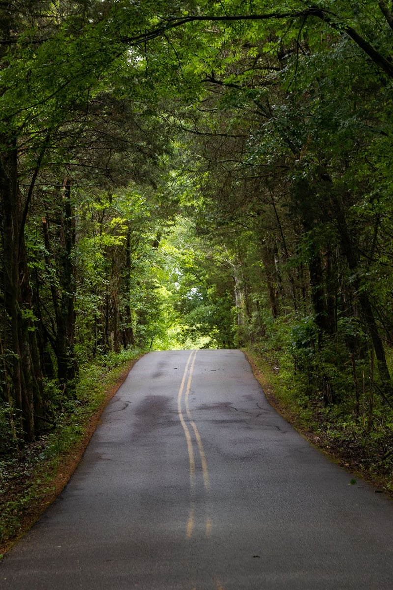 0 Macedonia Rd, Castalian Springs, TN 37031