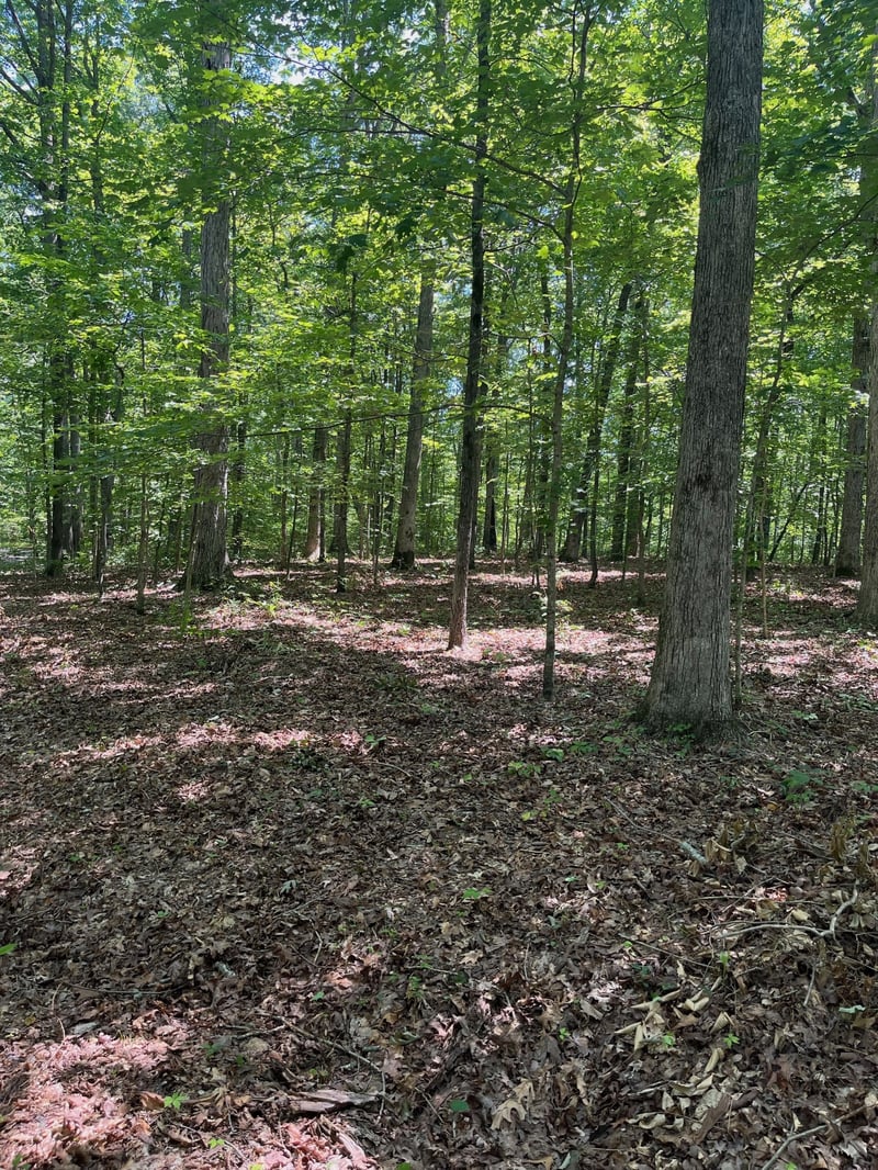 0 Cc Rd, Kingston Springs, TN 37082