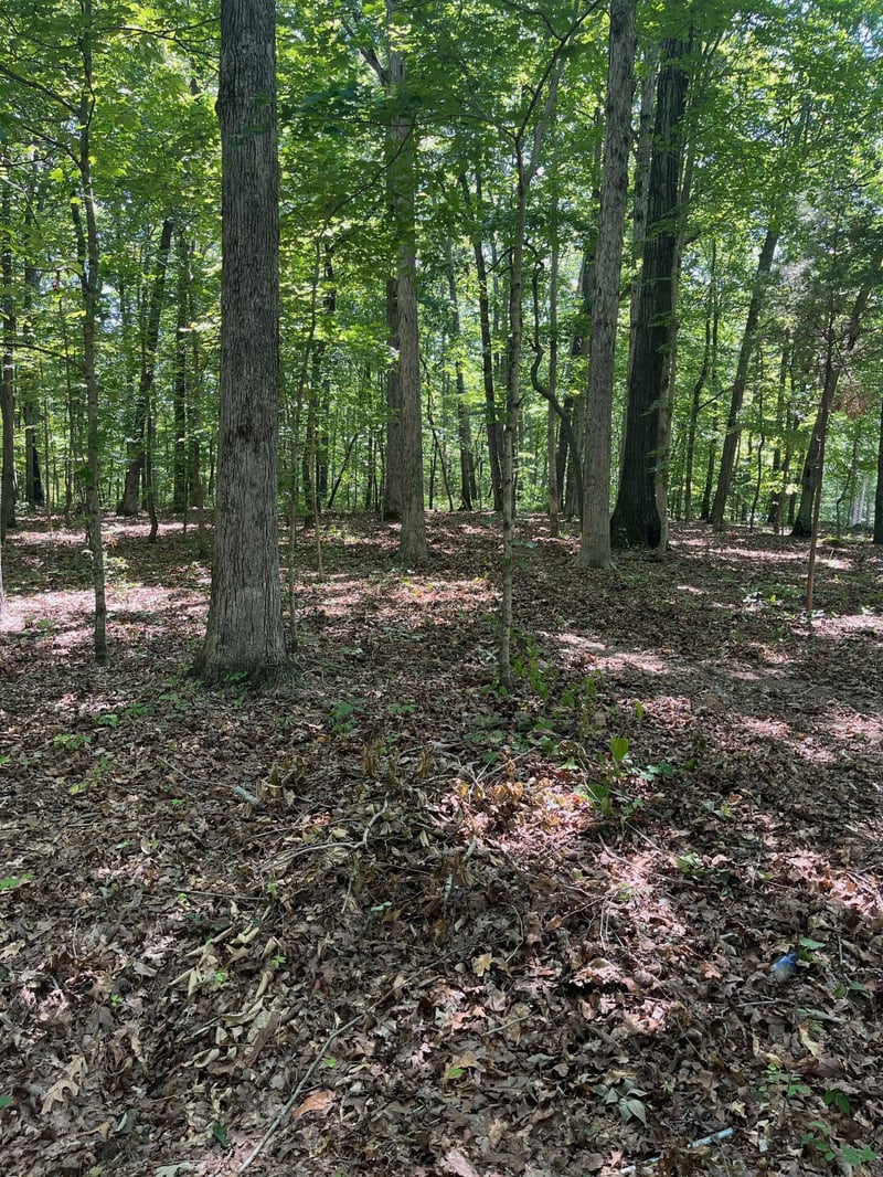0 Cc Rd, Kingston Springs, TN 37082