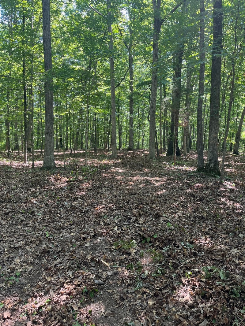 0 Cc Rd, Kingston Springs, TN 37082