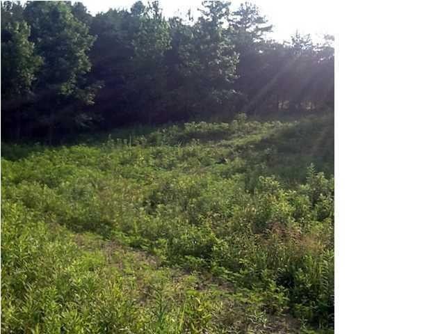 0 County Rd 92, Bryant, AL 35958