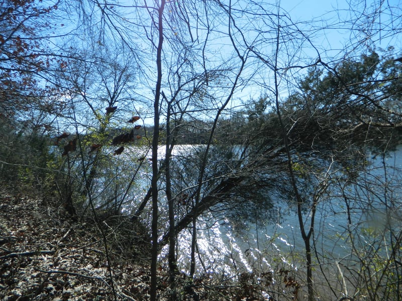 5 County Rd 494, Bryant, AL 35958