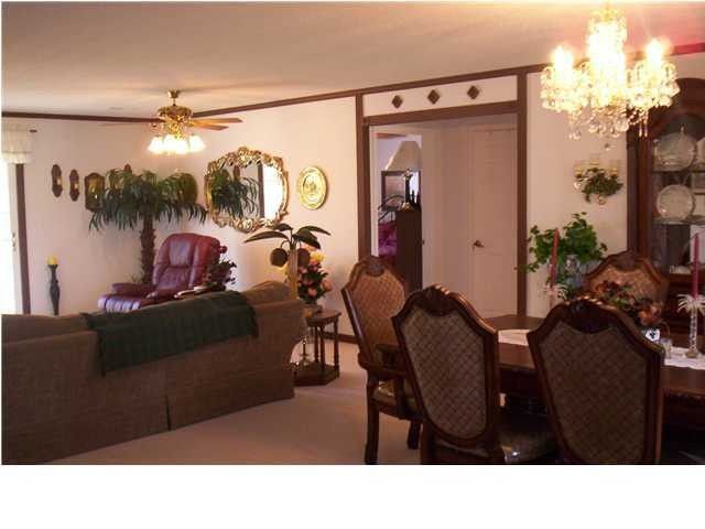 360 County Rd 343, Section, AL 35771