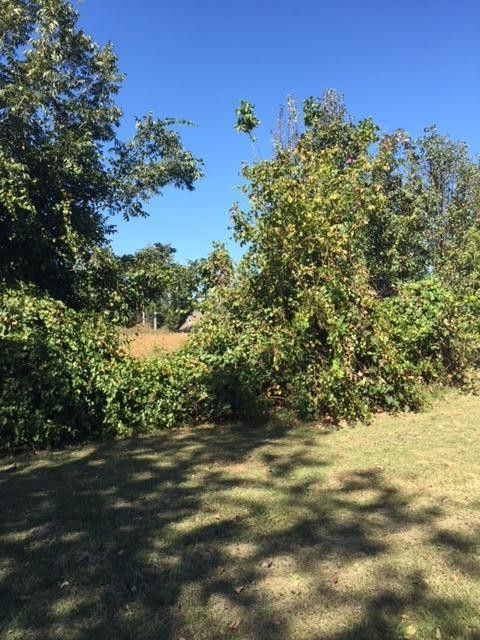 4806 County Rd 159, Ider, AL 35981