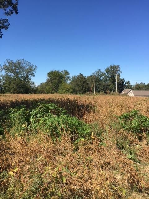 4806 County Rd 159, Ider, AL 35981