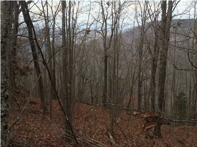 1002 County Rd 818, Bryant, AL 35958