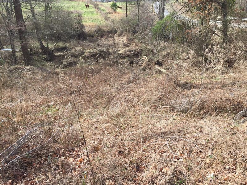 1302 County Road 159, Flat Rock, AL 35966