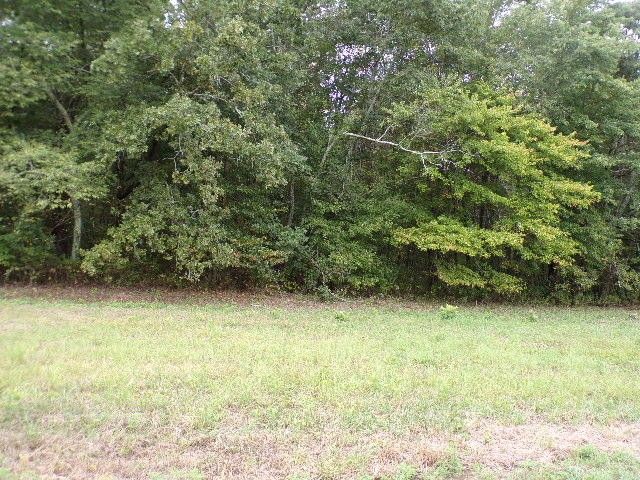 0 County Road 717 Lot #6, Bryant, AL 35958