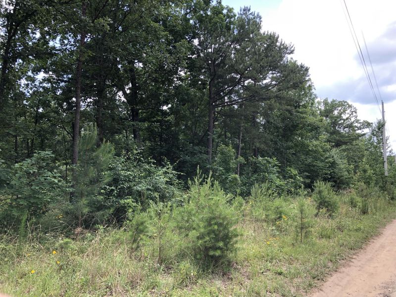 0 County Rd 1948, Higdon, AL 35979