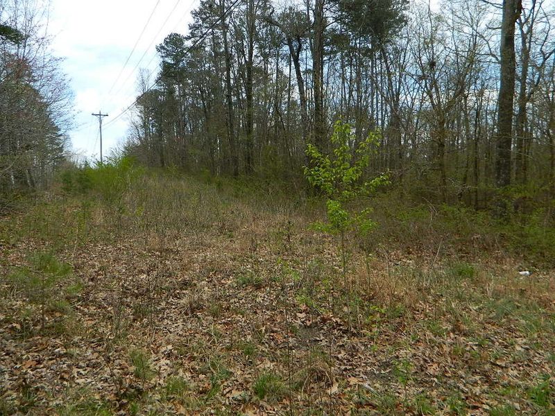 4699 County Road 89, Bryant, AL 35958