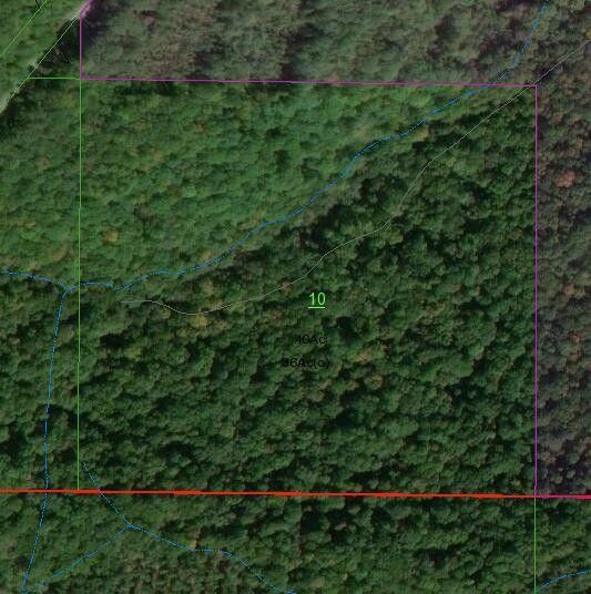 0 Al Highway 73, Bryant, AL 35958